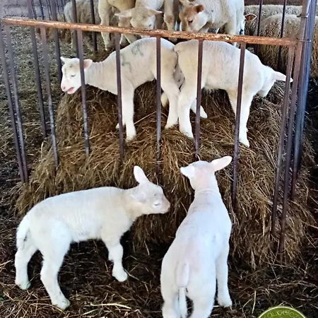 Owczarnia Ekologiczne Gospodarstwo Owczarskie *