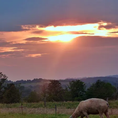 Owczarnia Ekologiczne Gospodarstwo Owczarskie Çiftlik konaklama *