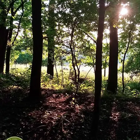 בית חווה Owczarnia Ekologiczne Gospodarstwo Owczarskie