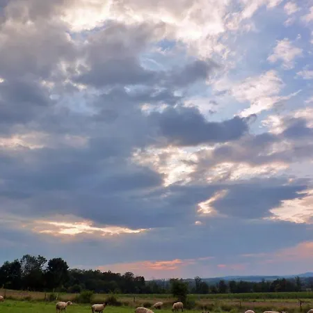 Owczarnia Ekologiczne Gospodarstwo Owczarskie * Dziegielow