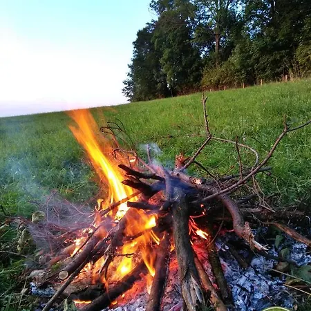 Owczarnia Ekologiczne Gospodarstwo Owczarskie בית חווה Dziegielow