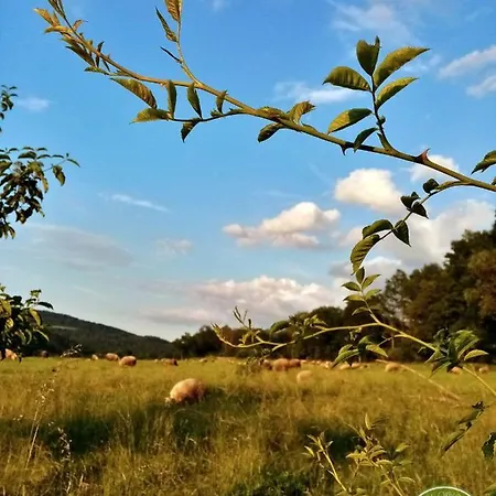 Gospodarstwo agroturystyczne Owczarnia Ekologiczne Gospodarstwo Owczarskie *