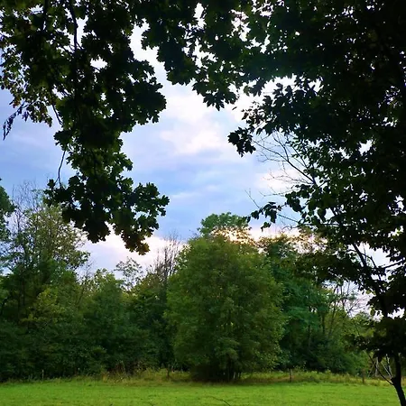 בית חווה Owczarnia Ekologiczne Gospodarstwo Owczarskie *