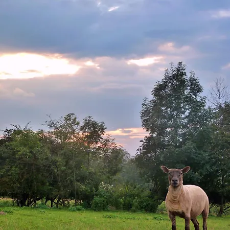 Çiftlik konaklama Owczarnia Ekologiczne Gospodarstwo Owczarskie