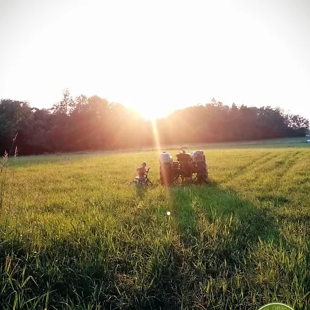 Owczarnia Ekologiczne Gospodarstwo Owczarskie * Dziegielow