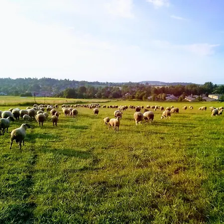 Owczarnia Ekologiczne Gospodarstwo Owczarskie Gospodarstwo agroturystyczne