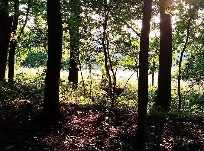 Vakantieboerderij Owczarnia Ekologiczne Gospodarstwo Owczarskie