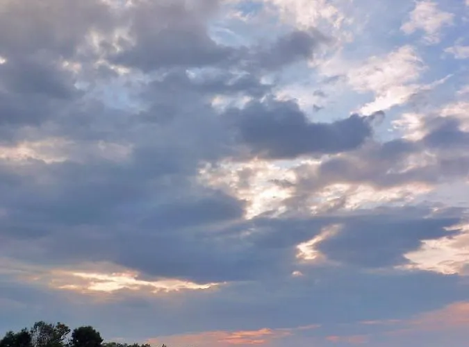 Owczarnia Ekologiczne Gospodarstwo Owczarskie * Dziegielow