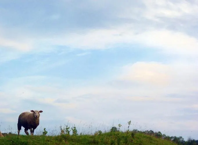 Owczarnia Ekologiczne Gospodarstwo Owczarskie