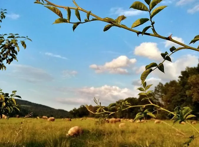 Farm stay Owczarnia Ekologiczne Gospodarstwo Owczarskie *