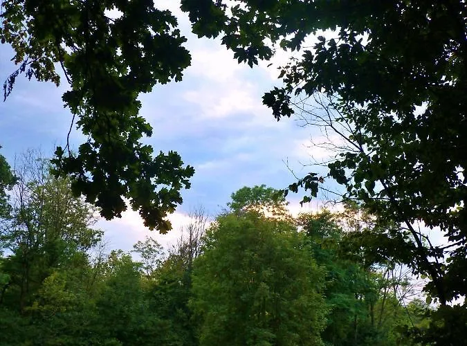 Farm stay Owczarnia Ekologiczne Gospodarstwo Owczarskie *