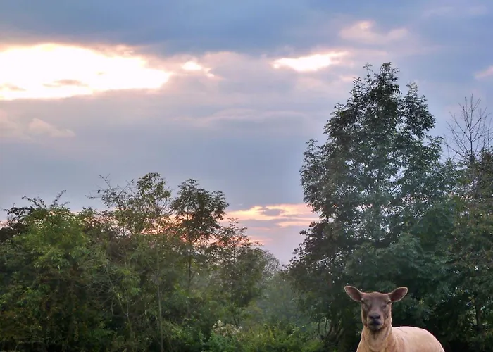 Vakantieboerderij Owczarnia Ekologiczne Gospodarstwo Owczarskie