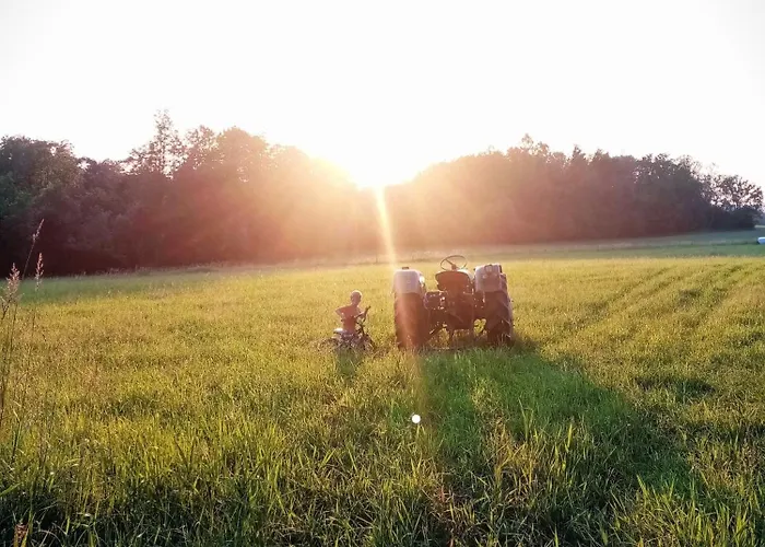 Owczarnia Ekologiczne Gospodarstwo Owczarskie * Dziegielow