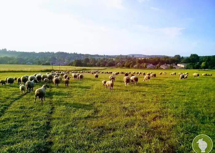 Owczarnia Ekologiczne Gospodarstwo Owczarskie Farm stay